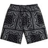 Black Graphic C