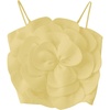 Solid Yellow